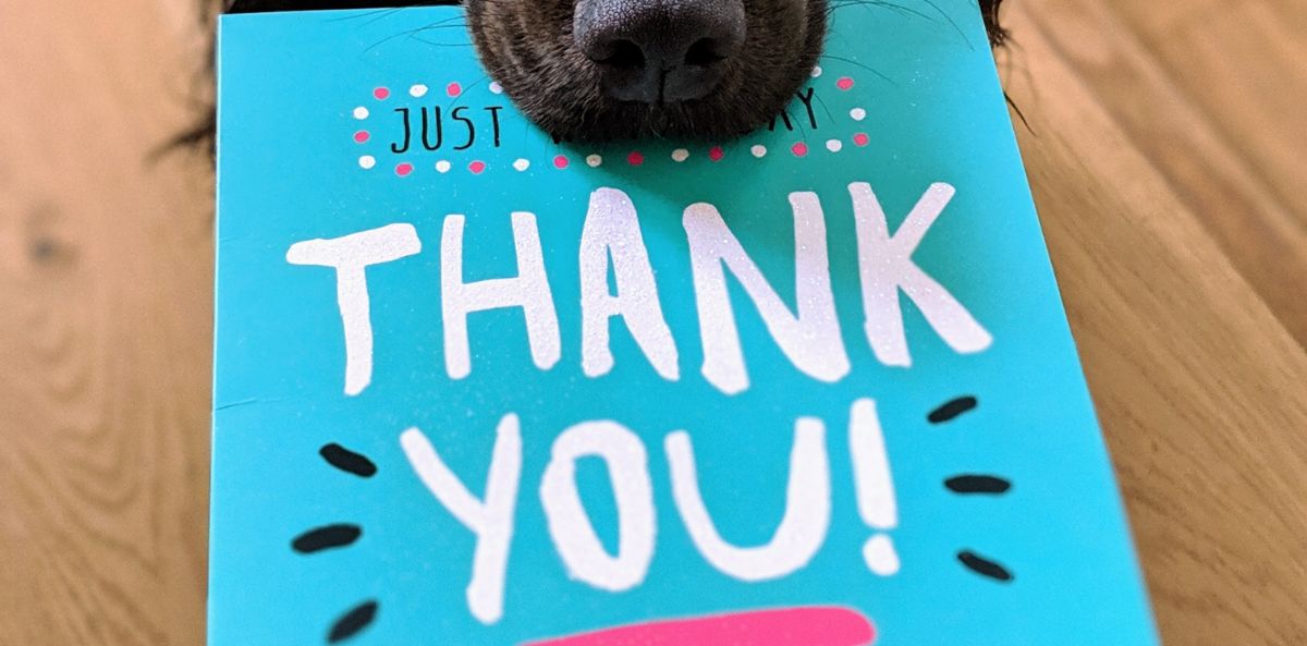 small dog holding a thank you sign