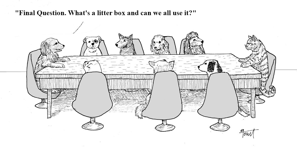 development director interview - A grey scale illustration of a collection of dogs and one cat sitting at a long table for an interview where the cat is the one being interviewed. The dog at the far end of the table is asking, "Final Question. What's a litter box and can we all use it?"