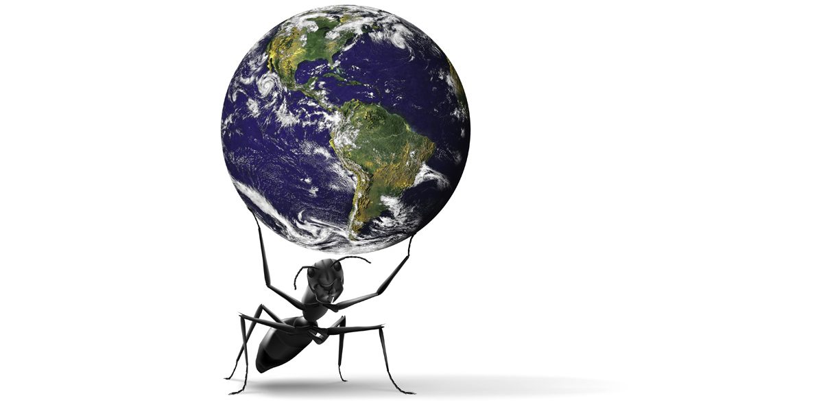 Nonprofit Leadership Lab: Ant carrying the globe