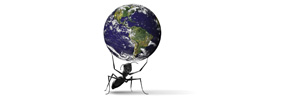 small nonprofits