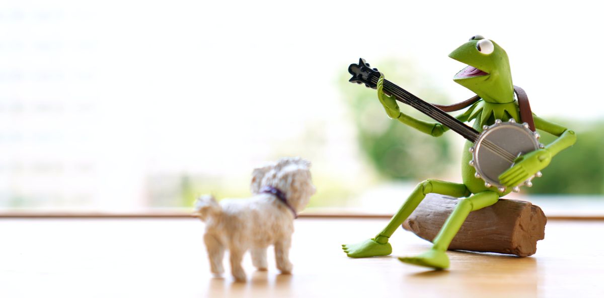 Kermit the frog sitting on a log playing a banjo to a small white dog wearing a purple collar. Represents a great executive director.